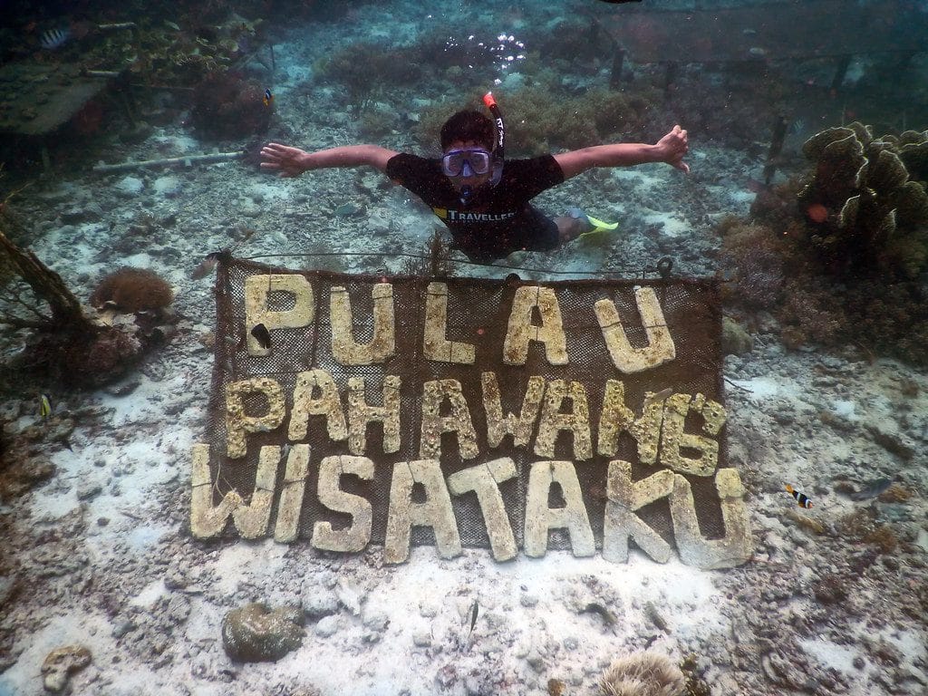 Snorkling Pulau Pahawang