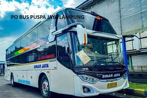 PO Bus Sinar Jaya Lampung