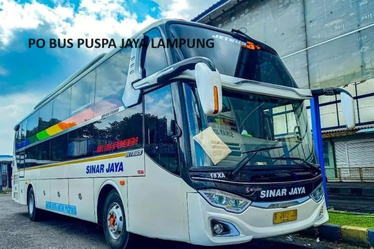 PO Bus Sinar Jaya Lampung