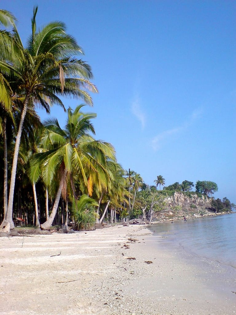 Paket 3 Hari 2 Malam Pulau Pahawang Private Trip Bagi Anda yang ingin lebih banyak waktu menikmati keindahan Pulau Pahawang dan destinasi lainnya, Paket 3 Hari 2 Malam Private Trip bisa menjadi pilihan terbaik. Dengan paket ini, Anda dapat lebih leluasa mengeksplorasi pulau-pulau sekitar dan spot snorkeling yang terkenal, serta menikmati pengalaman menginap yang nyaman di homestay atau villa yang telah disediakan. Harga Pakai Homestay Non AC Pulau Pahawang 3D2N 1 orang = Rp 4.500.000 2 orang = Rp 2.540.000/orang 3 orang = Rp 1.900.000/orang 4 orang = Rp 1.400.000/orang 5 orang = Rp 1.160.000/orang 6 orang = Rp 970.000/orang 7 orang = Rp 865.000/orang 8 orang = Rp 770.000/orang 9 orang = Rp 710.000/orang 10 orang = Rp 660.000/orang Harga Pakai Villa Darat AC Pulau Pahawang 3D2N 1 orang = Rp 5.100.000 2 orang = Rp 2.900.000/orang 3 orang = Rp 2.240.000/orang 4 orang = Rp 1.740.000/orang 5 orang = Rp 1.450.000/orang 6 orang = Rp 1.290.000/orang 7 orang = Rp 1.160.000/orang 8 orang = Rp 1.050.000/orang 9 orang = Rp 980.000/orang 10 orang = Rp 920.000/orang Harga Pakai Villa Laut Resort Andreas Pulau Pahawang 3D2N 1 orang = Rp 6.800.000 2 orang = Rp 3.500.000/orang 3 orang = Rp 2.800.000/orang 4 orang = Rp 2.400.000/orang 5 orang = Rp 2.100.000/orang 6 orang = Rp 1.900.000/orang 7 orang = Rp 1.750.000/orang 8 orang = Rp 1.600.000/orang 9 orang = Rp 1.500.000/orang 10 orang = Rp 1.420.000/orang Include Fasilitas 3 Hari 2 Malam Pulau Pahawang: Penginapan sesuai pilihan Makan 6 kali selama di pulau Kapal tour selama trip Guide pemandu wisata Alat snorkeling (masker, pelampung) Dokumentasi underwater & upwater Tiket masuk semua pulau dan spot snorkeling Air mineral kemasan Destinasi Tujuan Paket 3 Hari 2 Malam Tour Pulau Pahawang: Pulau Pahawang Besar Pulau Pahawang Kecil Pulau Kelagian Besar Pulau Kelagian Kecil Pasir Timbul Pahawang Spot Snorkeling Taman Nemo Spot Snorkeling Cukuh Bedil Spot Snorkeling Gosong Bekri Itinerary Tour 3 Hari 2 Malam Pulau Pahawang Hari 1 08:00 – Tiba di Dermaga Ketapang, briefing 09:00 – Menuju Pulau Kelagian Besar, eksplorasi 11:00 – Menuju Pulau Kelagian Kecil, makan siang 14:00 – Snorkeling di Taman Nemo dan Cukuh Bedil 17:00 – Check-in penginapan dan makan malam Hari 2 07:00 – Sarapan 08:00 – Menuju Pasir Timbul Pahawang, eksplorasi 10:00 – Snorkeling di Spot Gosong Bekri 13:00 – Makan siang di Pulau Pahawang Besar 15:00 – Menikmati waktu bebas di pantai Hari 3 07:00 – Sarapan 09:00 – Kembali ke Dermaga Ketapang 11:00 – Trip selesai Dengan berbagai pilihan paket wisata yang disesuaikan dengan kebutuhan, baik itu perjalanan singkat satu hari atau menginap hingga tiga hari, wisata ke Pulau Pahawang menawarkan pengalaman yang tak terlupakan. Keindahan alam bawah laut, pantai yang mempesona, dan suasana yang tenang menjadikan Pulau Pahawang sebagai destinasi wajib bagi para pecinta alam dan penggemar aktivitas snorkeling. Jangan lewatkan kesempatan untuk menikmati keindahan Pulau Pahawang bersama teman, keluarga, atau rekan kerja. Pilih paket yang sesuai dengan kebutuhan Anda dan nikmati liburan seru di Pulau Pahawang, Lampung!