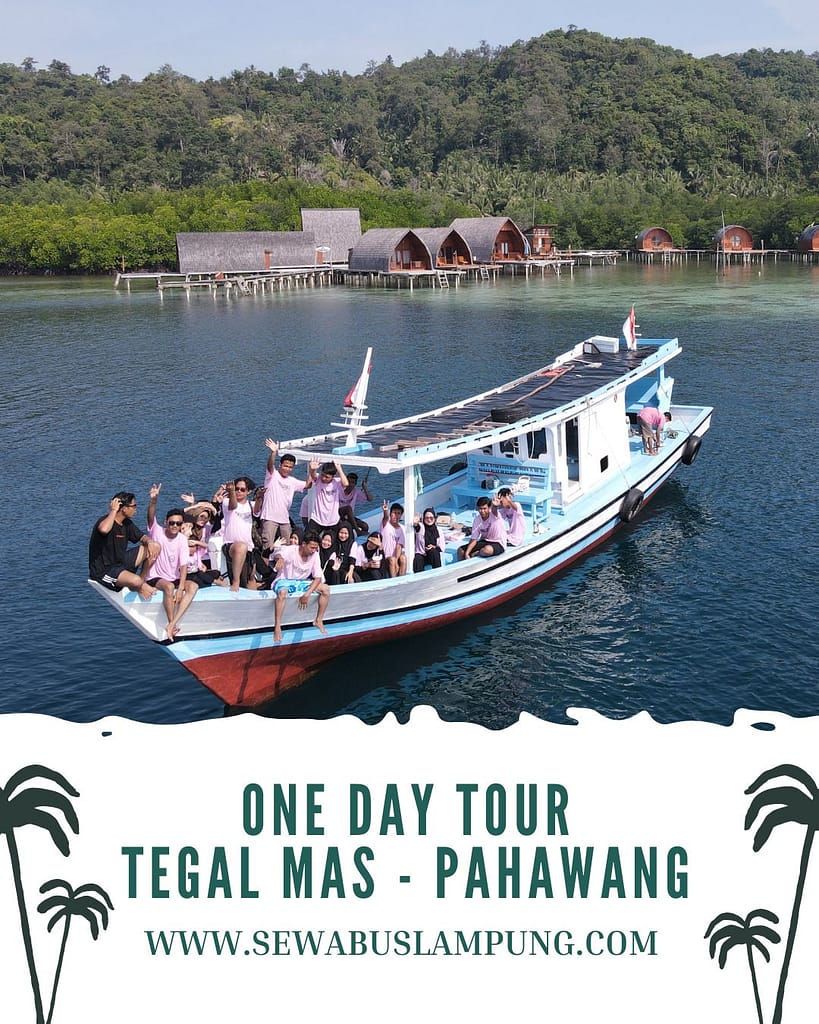 Paket pahawang 1 hari