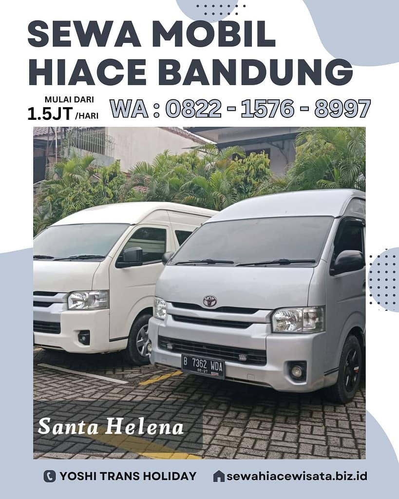 Svg+xml,%3Csvg%20viewBox%3D%220%200%20819%201024%22%20width%3D%22819%22%20height%3D%221024%22%20xmlns%3D%22http%3A%2F%2Fwww.w3