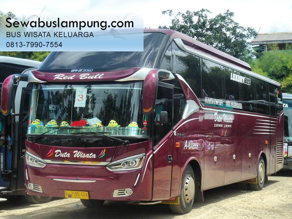 bus wisata lampung online