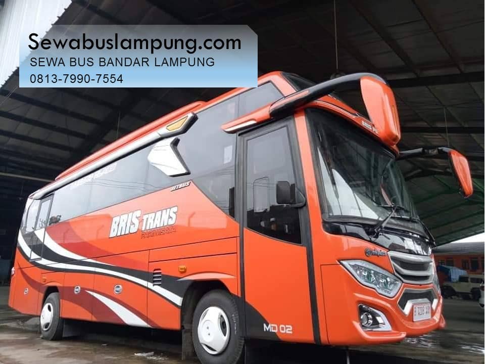sewa bus bandar lampung
